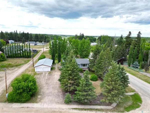 101 1st AVENUE,  Medstead,  SK S0M 1W0