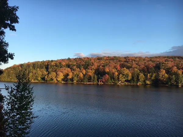 1187 Ivy LN, Algonquin Highlands, ON P0A 1E0