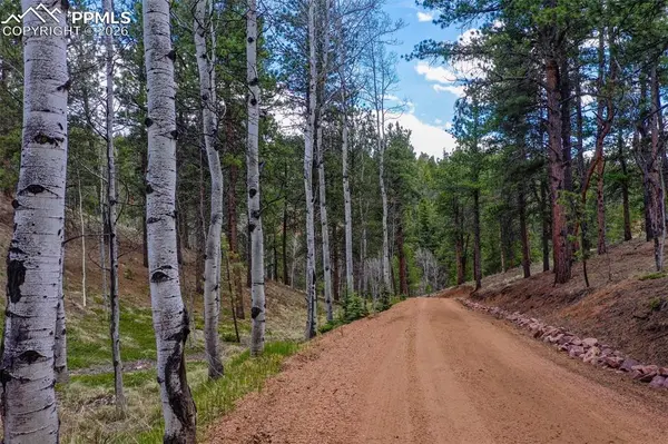 185 Wildcat Creek DR, Florissant, CO 80816