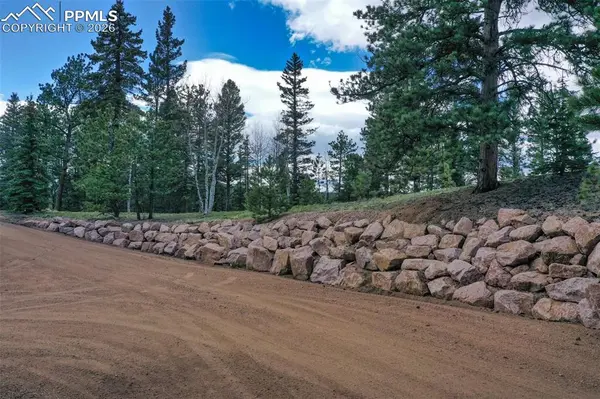 185 Wildcat Creek DR, Florissant, CO 80816