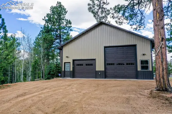 185 Wildcat Creek DR, Florissant, CO 80816