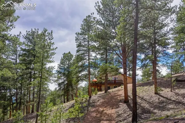 185 Wildcat Creek DR, Florissant, CO 80816