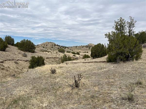 Black Horse DR, Pueblo, CO 81004