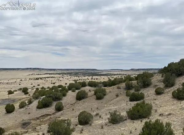 Black Horse DR, Pueblo, CO 81004