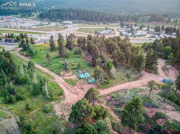 19569 E Highway 24, Woodland Park, CO 80863