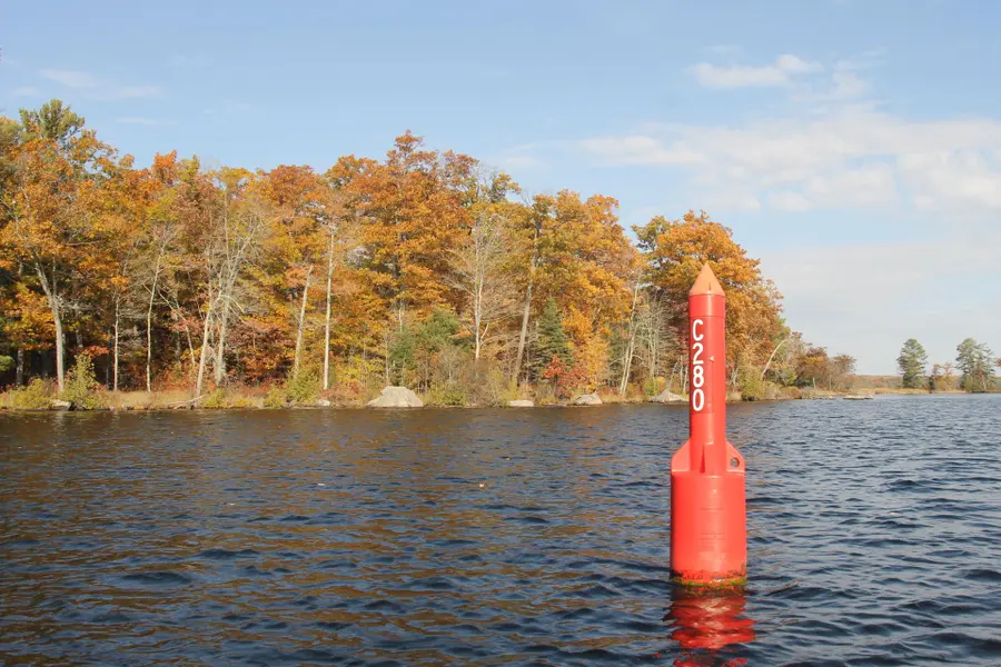 C280 Lower Buckhorn Lake N/A #Lot 2, Trent Lakes, ON K0L 1J0