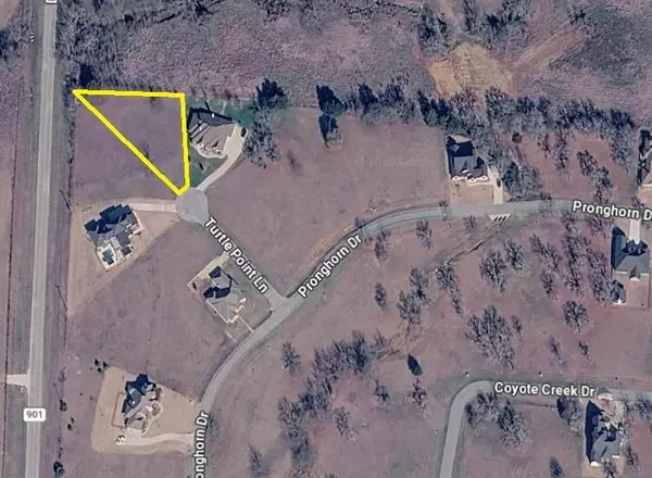 Lot 53A Turtle Point Lane, Gordonville, TX 76245