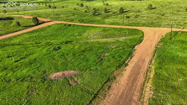 Lot 112 Will Scarlet DR, Divide, CO 80814