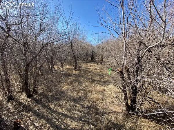 14 Ghost River Ranch, Walsenburg, CO 80189