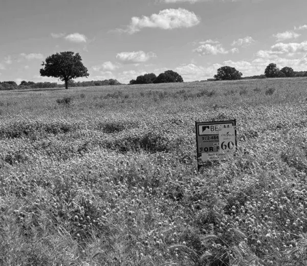 Lot 60 Buffalo Lane, Chico, TX 76431