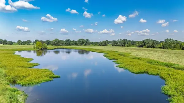 31 Acres Texas Highway 19 S, Brashear, TX 75420