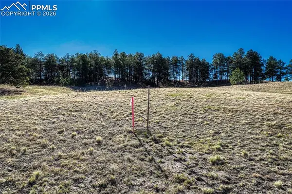 19089 Malmsbury CT, Monument, CO 80132