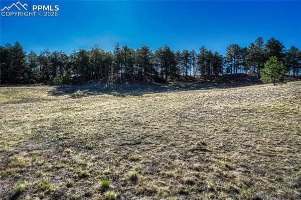 19089 Malmsbury CT, Monument, CO 80132