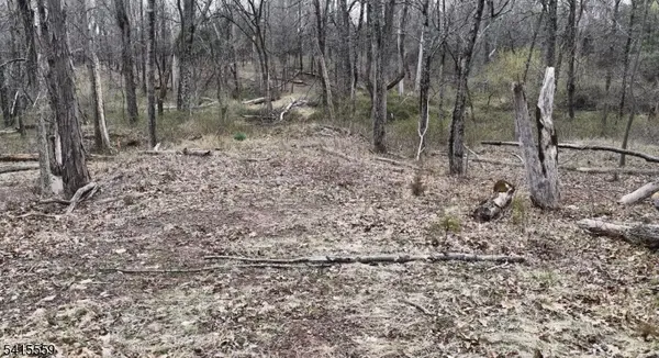 121 Bellemead Griggstown Rd, Montgomery Twp., NJ 08502