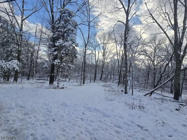 121 Bellemead Griggstown Rd, Montgomery Twp., NJ 08502