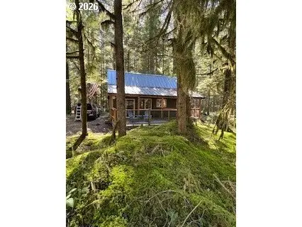 Cabin 61 Northwoods, Cougar, WA 98616