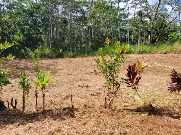 PLUMERIA RD, Pahoa, HI 96778