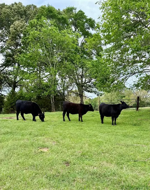 214 CR 4413, Jacksonville, TX 75785