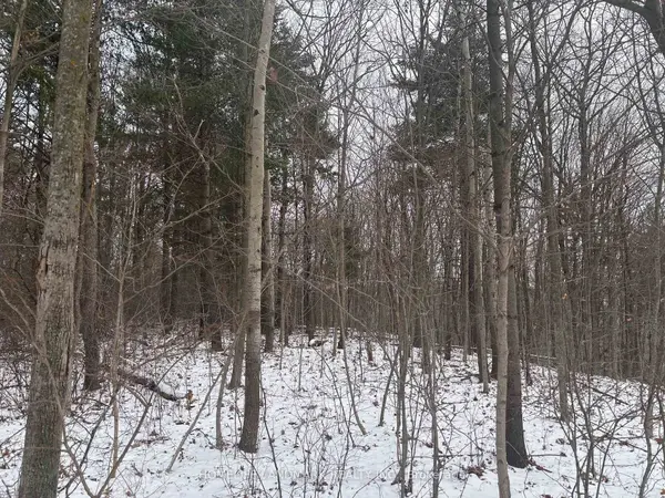 LT 45 CON 7 EBR LINDSAY N/A, Northern Bruce Peninsula, ON N0H 1Z0