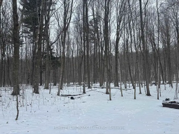 LT 45 CON 7 EBR LINDSAY N/A, Northern Bruce Peninsula, ON N0H 1Z0