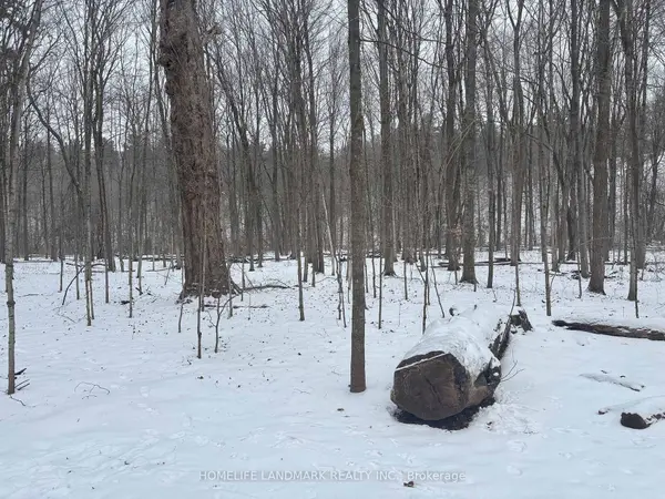 LT 45 CON 7 EBR LINDSAY N/A, Northern Bruce Peninsula, ON N0H 1Z0