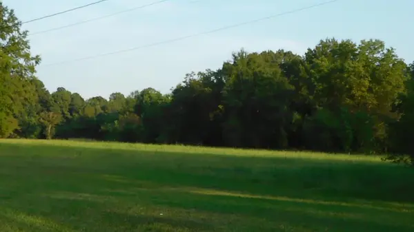 0 Spring Branch Road, Springhill, LA 71075