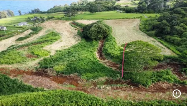 28-1162 OLD RAILROAD WAY, Pepeekeo, HI 96783