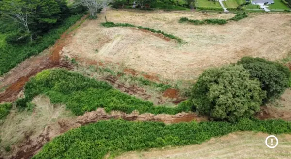 28-1162 OLD RAILROAD WAY, Pepeekeo, HI 96783