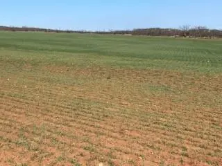 TBD CR 176, Ovalo, TX 79541