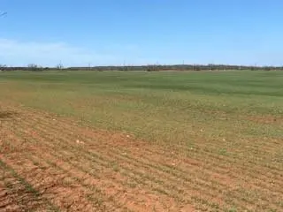 TBD CR 176, Ovalo, TX 79541