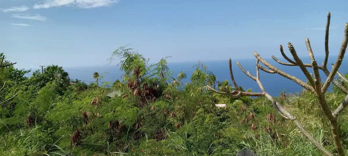 87-3191 FERN RD, Captain Cook, HI 96704