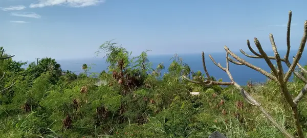 87-3191 FERN RD,  Captain Cook,  HI 96704