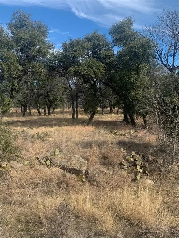 277 Vista Pointe Drive, Chico, TX 76431