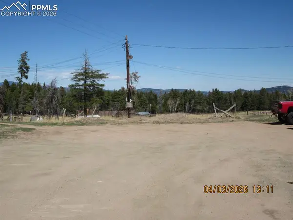 31511 Shadow Mountain DR, Conifer, CO 80433