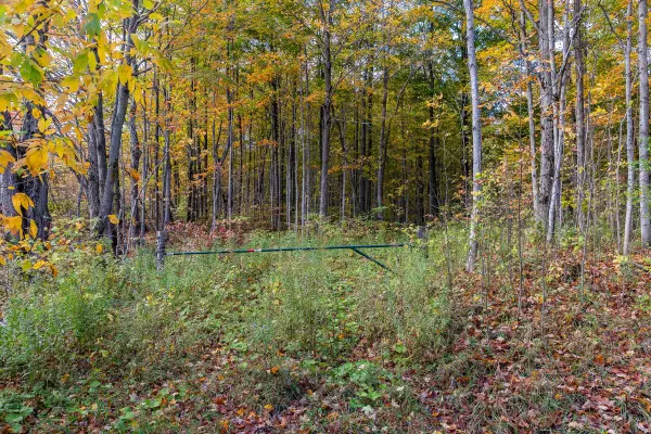 00 9th Line N/A, Grey Highlands, ON N0C 1H0