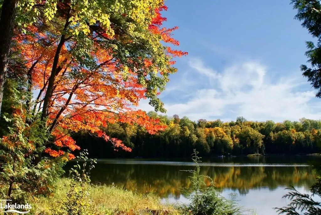 0 HIGHWAY 35 N/A, Minden Hills, ON K0M 2K0