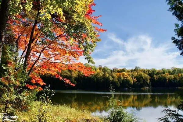 0 HIGHWAY 35 N/A, Minden Hills, ON K0M 2K0