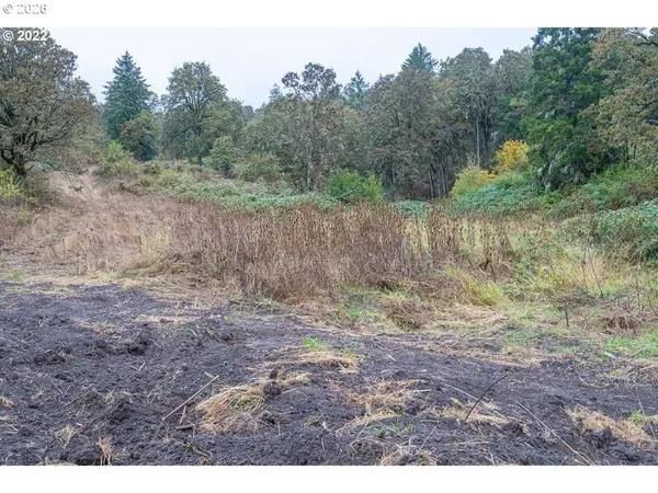 4090 NW LINCOLN AVE, Yamhill, OR 97148