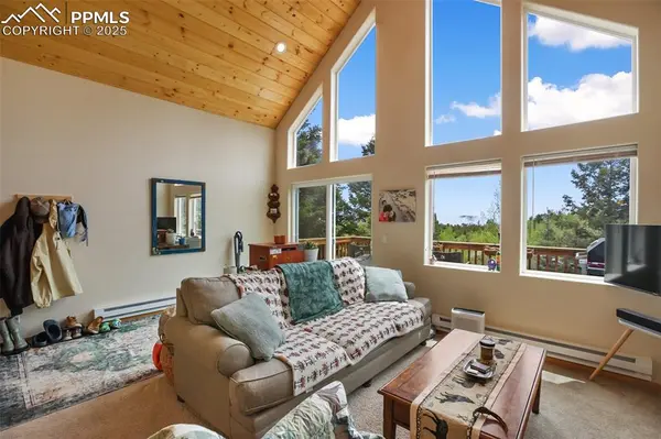 501 Wakanda TRL, Woodland Park, CO 80863