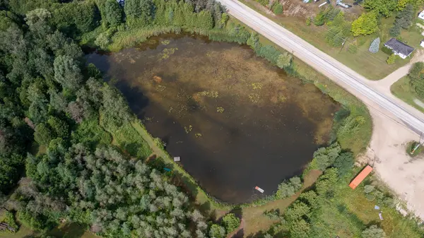 121 Collingwood ST, Grey Highlands, ON N0C 1E0