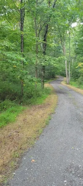 13 Ridge Rd, East Amwell Twp., NJ 08525