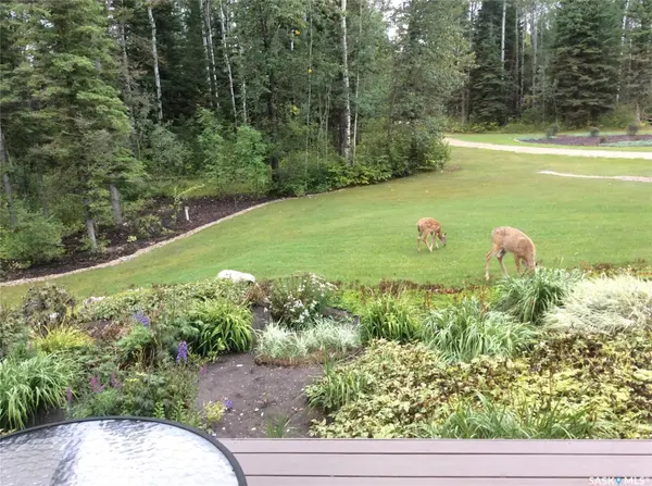 Rural Address, Hudson Bay Rm No. 394, SK S0E 0Y0