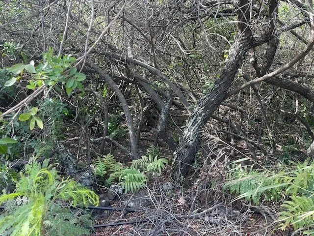 HOLOWAI ST, Naalehu, HI 96772