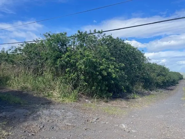 AMEPELA RD, Naalehu, HI 96772