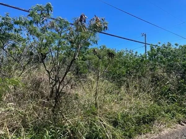 AMEPELA RD, Naalehu, HI 96772