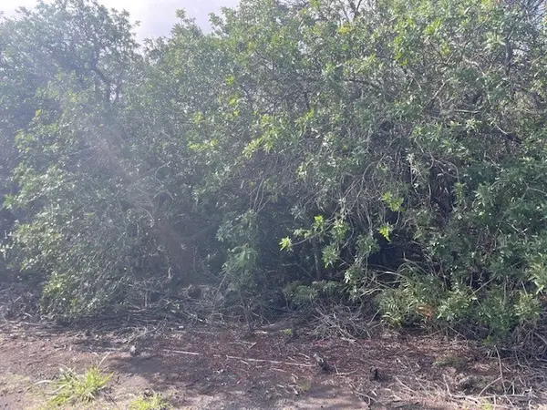 HOLOWAI ST, Naalehu, HI 96772