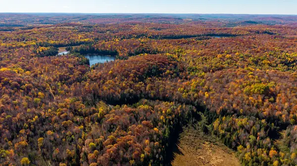 170 Shavens Lake RD, Bonnechere Valley, ON K0J 1T0