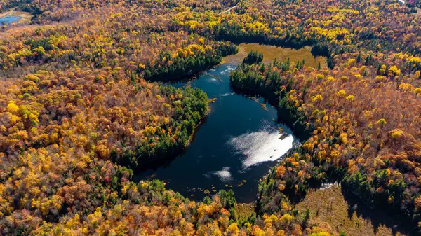 170 Shavens Lake RD, Bonnechere Valley, ON K0J 1T0