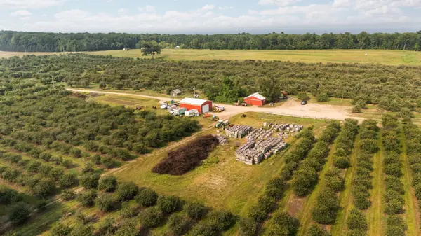 3089 Swaney RD, Peninsula Twp, MI 49686