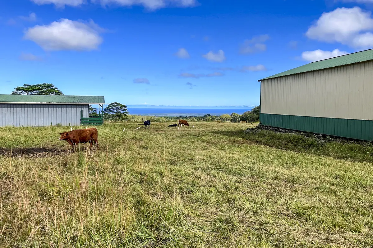 17-4870 SOUTH RD, Kurtistown, HI 96760